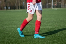 BAS 1 - Hulshorst 1 (1/2)