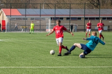 BAS 1 - Hulshorst 1 (2/2)