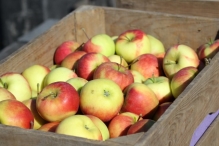 Avondvierdaagse 2014 Dag 3