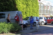 Avondvierdaagse 2014 Dag 3