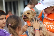 Avondvierdaagse 2014 Dag 4