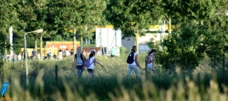 4daagse 2016 - donderdag (3/5)