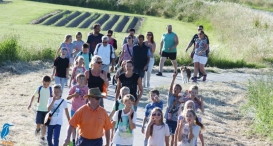 4daagse 2016 - donderdag (3/5)