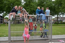 4daagse 2016 - donderdag (4/5)