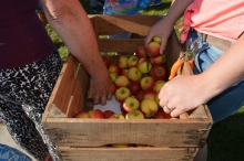 4daagse 2016 - donderdag (1/5)