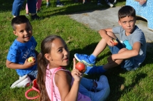 4daagse 2016 - donderdag (1/5)