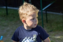 4daagse 2016 - dinsdag (3/4)