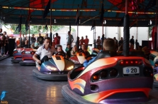 4daagse 2016 - vrijdag (7)