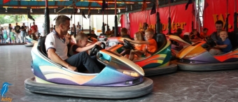 4daagse 2016 - vrijdag (7)