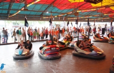 4daagse 2016 - vrijdag (7)