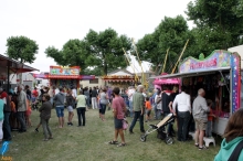 4daagse 2016 - vrijdag (7)