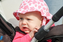 4daagse 2016 - vrijdag (1)