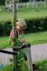 4daagse 2016 - vrijdag (2)