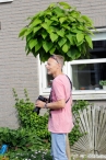 4daagse 2016 - vrijdag (1)