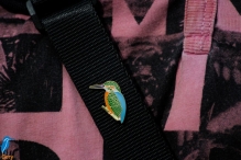 4daagse 2016 - vrijdag (1)