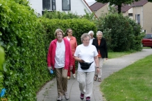 4daagse 2016 - woensdag (1/5)