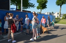 4daagse 2016 - woensdag (4/5)