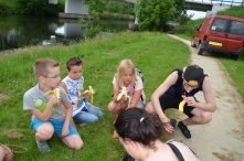 4daagse 2016 - woensdag (5/5)