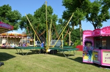 4daagse 2016 - woensdag (4/5)