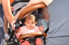 4daagse 2016 - woensdag (4/5)