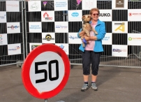 Avond4daagse 2017 - maandag (4/8)