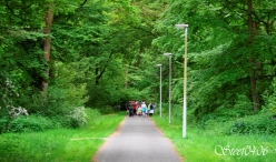 Avond4daagse 2017 - dinsdag (1/3)