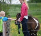 Avond4daagse 2017 - dinsdag (1/3)
