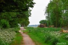 Avond4daagse 2017 - dinsdag (1/3)