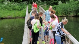 Avond4daagse 2017 - dinsdag (2/3)