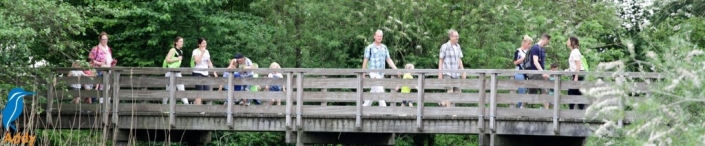 Avond4daagse 2017 - dinsdag (2/3)