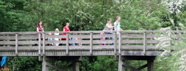 Avond4daagse 2017 - dinsdag (2/3)