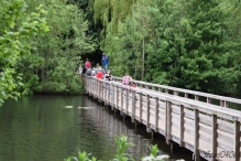 Avond4daagse 2017 - dinsdag (1/3)