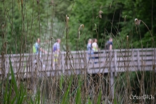 Avond4daagse 2017 - dinsdag (1/3)