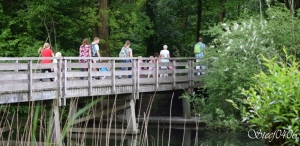 Avond4daagse 2017 - dinsdag (1/3)