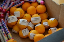 Avond4daagse 2017 - donderdag (2/3)