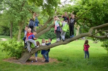 Avond4daagse 2017 - donderdag (2/3)