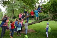 Avond4daagse 2017 - donderdag (2/3)