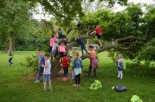 Avond4daagse 2017 - donderdag (2/3)