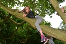 Avond4daagse 2017 - donderdag (2/3)