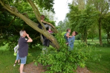 Avond4daagse 2017 - donderdag (2/3)