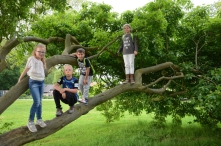 Avond4daagse 2017 - donderdag (2/3)