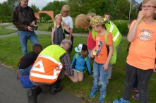 Avond4daagse 2017 - donderdag (2/3)