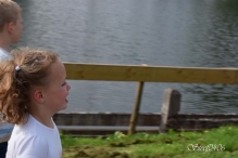 Avond4daagse 2017 - donderdag (3/3)