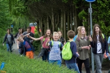 Avond4daagse 2017 - donderdag (1/3)
