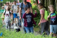 Avond4daagse 2017 - donderdag (1/3)