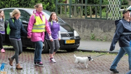 A4Daagse 2017 - vrijdag (11/15)