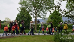 A4Daagse 2017 - vrijdag (2/15)