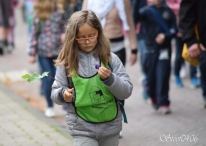 A4Daagse 2017 - vrijdag (2/15)