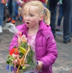 A4Daagse 2017 - vrijdag (2/15)