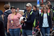 A4Daagse 2017 - vrijdag (2/15)